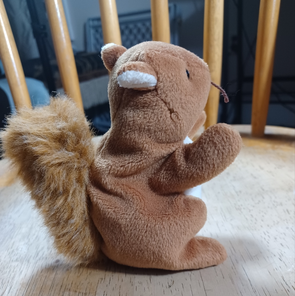 -RETIRED ORIGINAL Ty Beanie Baby NUTS the Squirrel sitting stuffed Plush NO TAGS - Picture 6 of 12